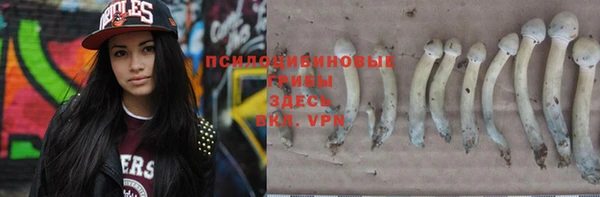 не бодяженный Алзамай