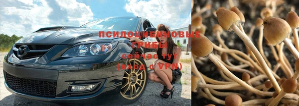 дживик Алексеевка