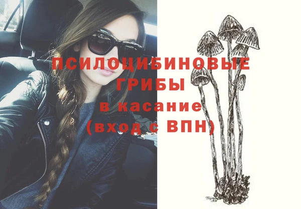не бодяженный Алзамай