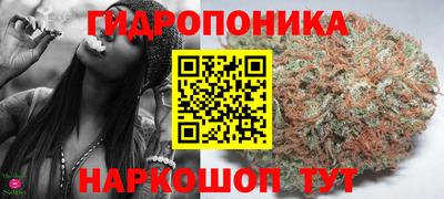 спиды Жуковский