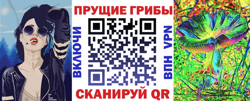где найти   Кольчугино  MEGA как зайти  Галлюциногенные грибы мицелий 