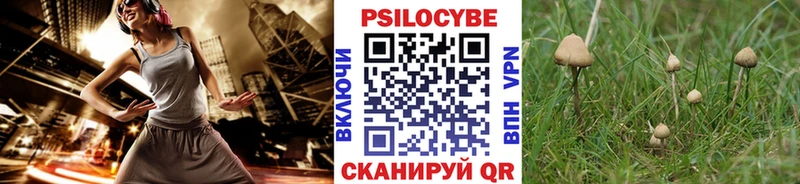 Галлюциногенные грибы MAGIC MUSHROOMS Кольчугино