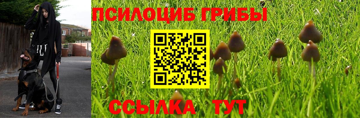 Галлюциногенные грибы Magic Shrooms  Вход с VPN  Кольчугино  Галлюциногенные грибы прущие грибы 